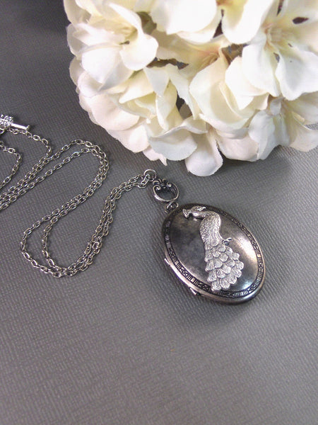 Pretty Plume,Silver Locket,Antique Locket,Peacock, Locket Necklace,Peacock,Bird. Handmade Jewlery by valleygirldesigns on Etsy.